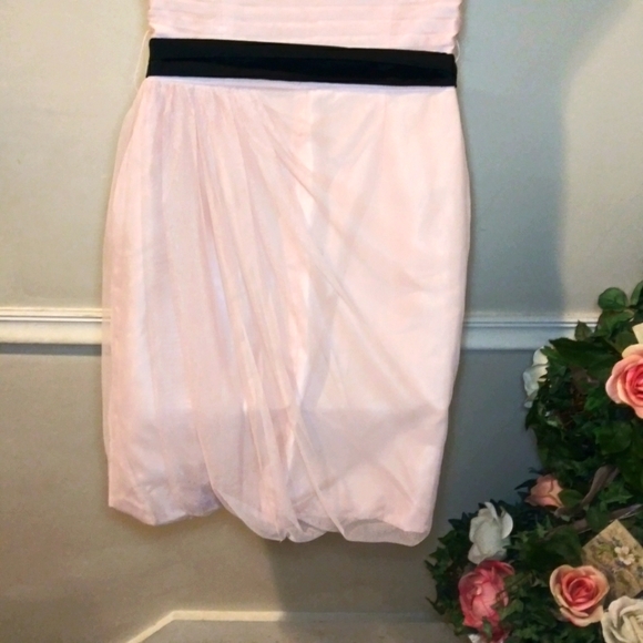 Vera Wang White Label Cameo Pink & Black Tulle Draped Special Occasion Dress - Picture 12 of 15